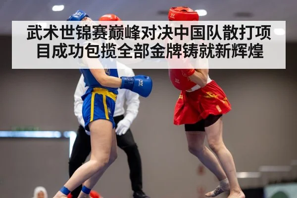 武术世锦赛巅峰对决中国队散打项目成功包揽全部金牌铸就新辉煌