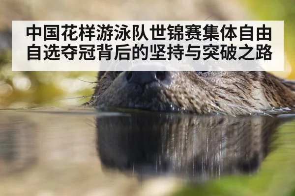 中国花样游泳队世锦赛集体自由自选夺冠背后的坚持与突破之路